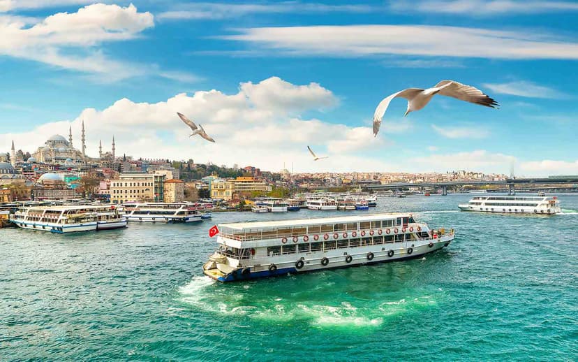 Cruise the Bosphorus